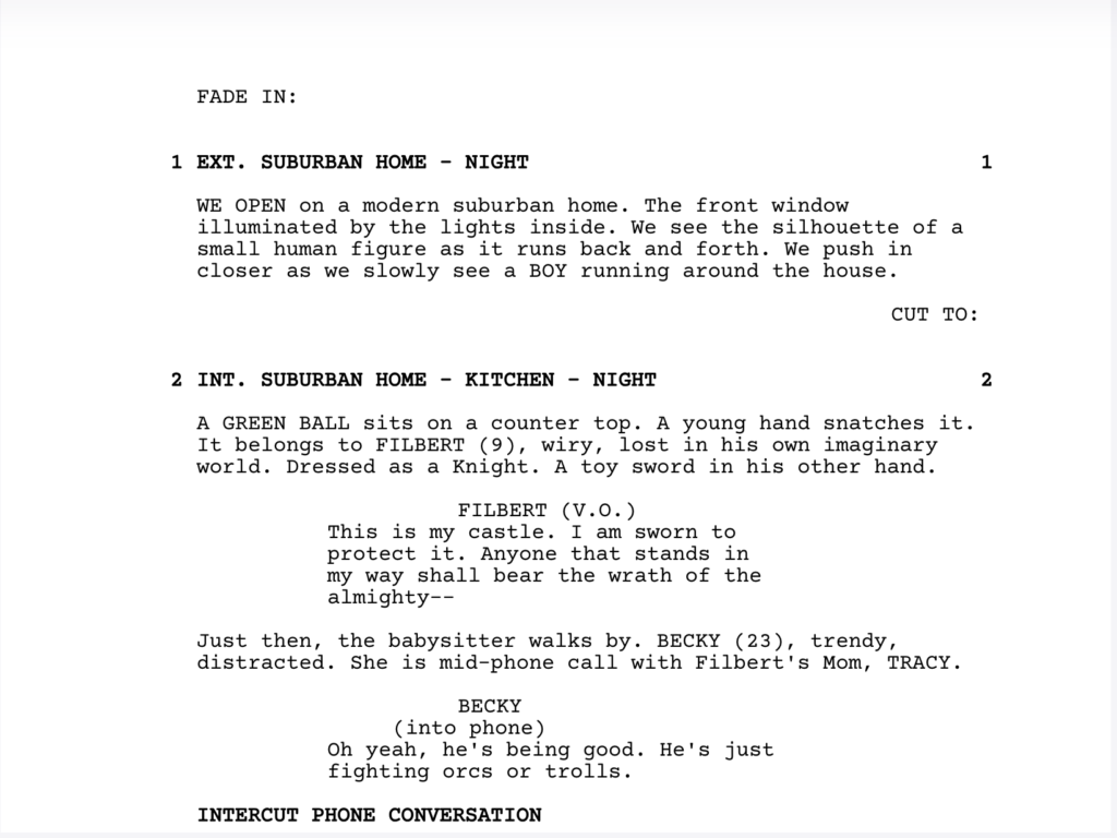 Script Format
